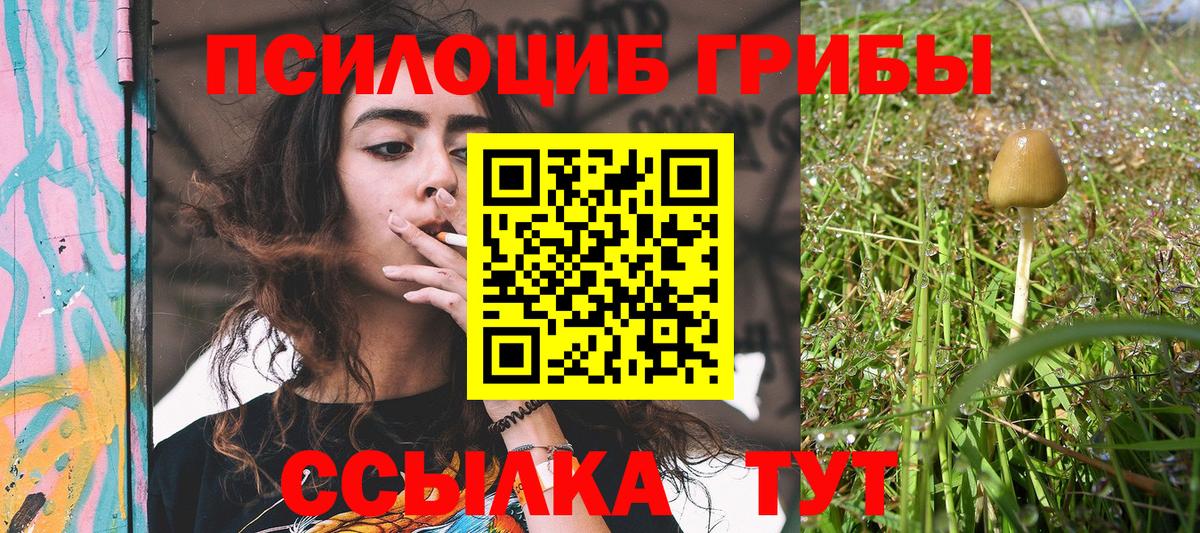Советская Гавань  Галлюциногенные грибы GOLDEN TEACHER  Вход с VPN  Псилоцибиновые грибы MAGIC MUSHROOMS 