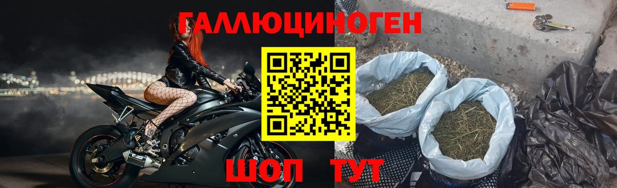 Псилоцибиновые грибы Magic Shrooms Советская Гавань